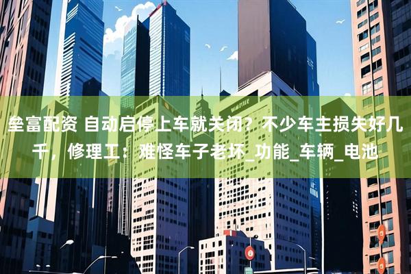 垒富配资 自动启停上车就关闭？不少车主损失好几千，修理工：难怪车子老坏_功能_车辆_电池