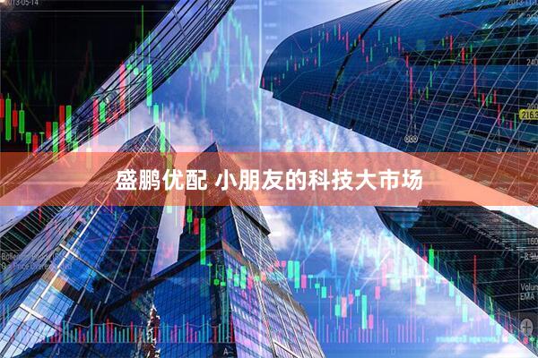 盛鹏优配 小朋友的科技大市场