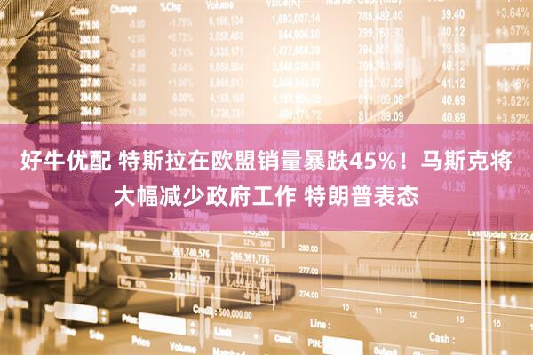 好牛优配 特斯拉在欧盟销量暴跌45%!马斯克将大幅减少政府工作 特朗普表态