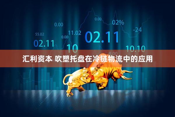 汇利资本 吹塑托盘在冷链物流中的应用