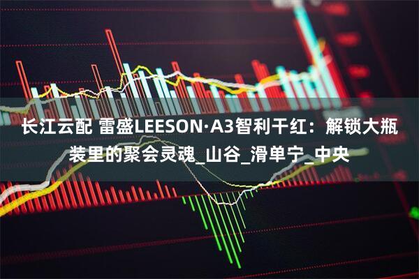 长江云配 雷盛LEESON·A3智利干红:解锁大瓶装里的聚会灵魂_山谷_滑单宁_中央